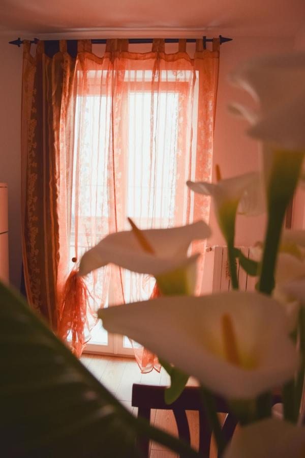 Apartmán Casa Viola -Locazione Breve Polignano a Mare Exteriér fotografie